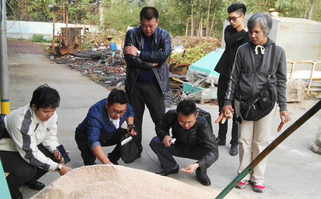 泰國客戶來我公司考察鋸末顆粒機