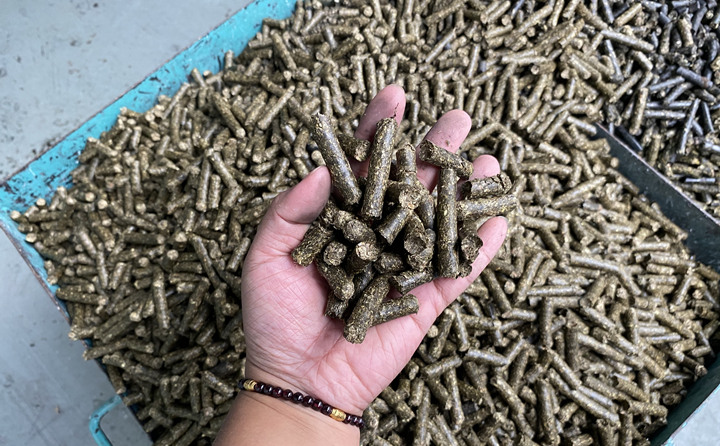 通過高溫處理，一捆稻草就能變成統一規格的燃料顆粒